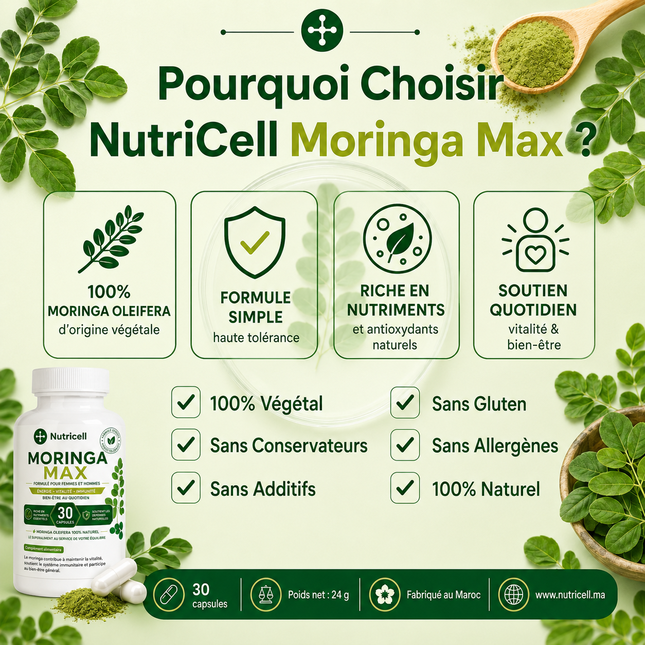 Nutricell - Moringa Max